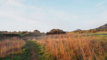 Worship – Responding to God